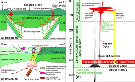 Schematic Cartoon Cross Sections Illustrating The Proposed Petrogenetic