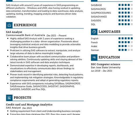 Sas Analyst Cv Sample In 2024 Resumekraft