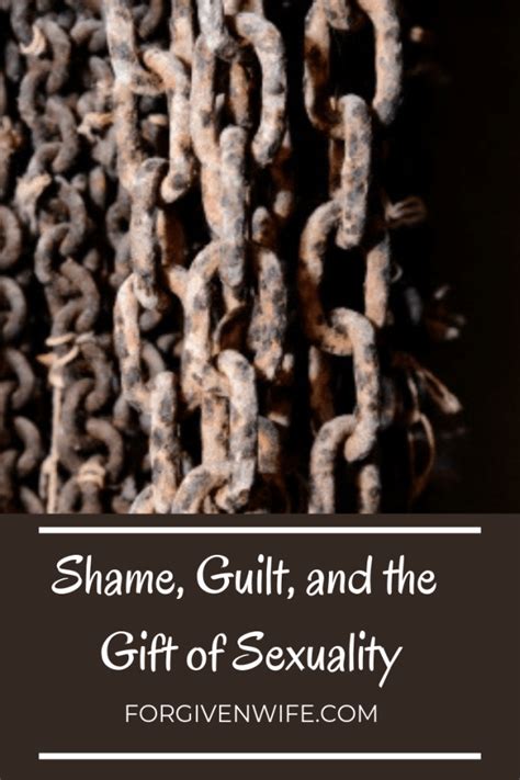 Shame Guilt And The T Of Sexuality The Forgiven Wife