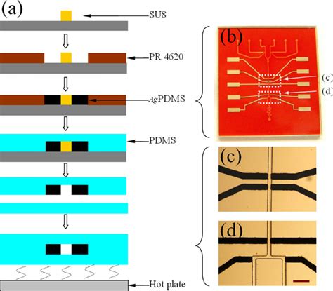 ͑ A ͒ Processing Flow Of Microfluidic Chip Fabrication Using Soft