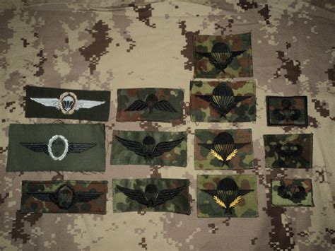 Airborne Badges Of German Army Camo