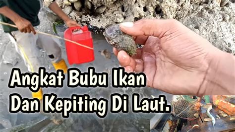 Angkat Bubu Ikan Dan Kepiting Di Laut Ikanlaut Kepiting Laut