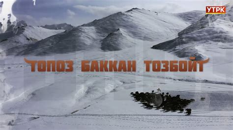Топоз баккан тозбойт - YouTube