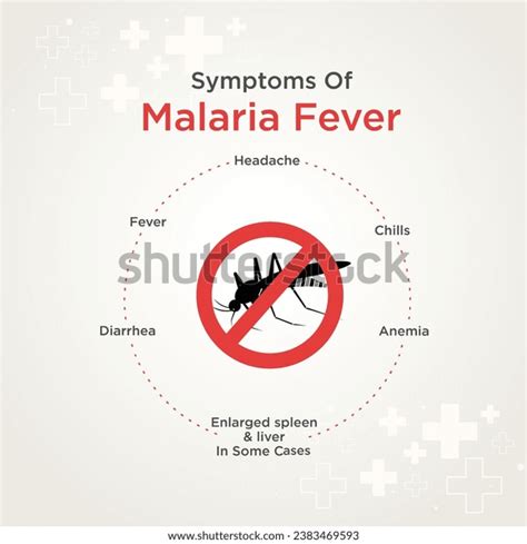 Malaria Symptoms Mosquitoes Medical Health Care Stock Vector (Royalty ...