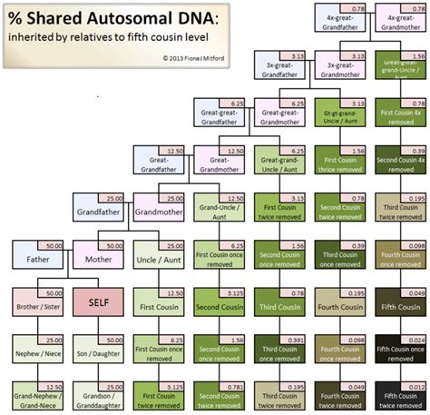 Cousin Percentage Dna Chart