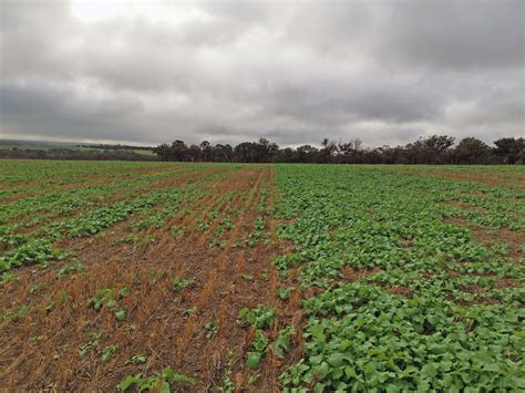 Non Wetting Demonstration Walk — Stirlings To Coast Farmers