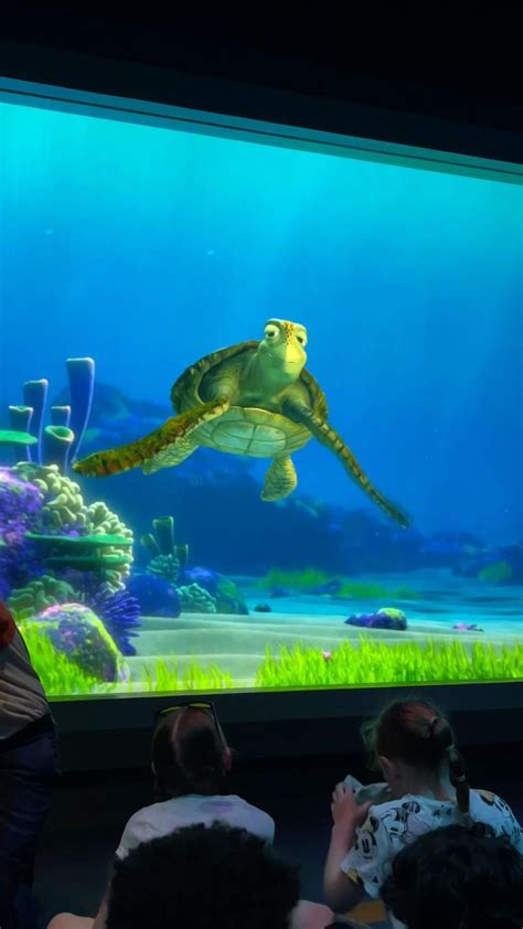 Turtle Talk With Crush Finding Nemo Ride Disneyland Turtle Talk With