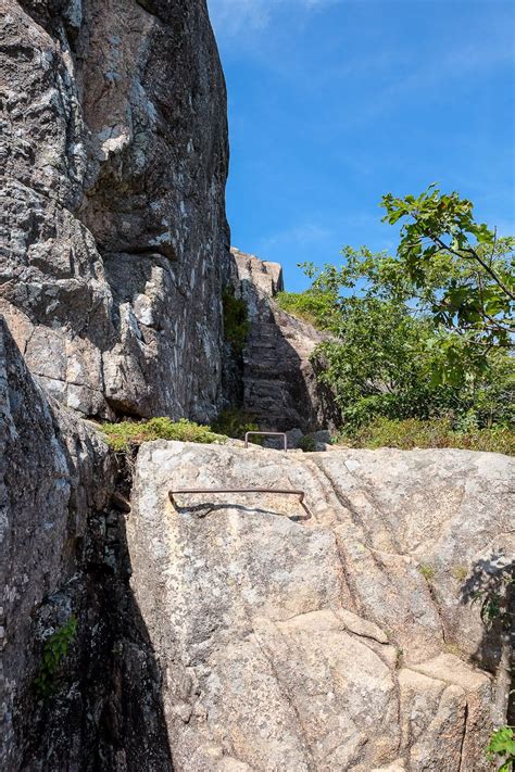 Trail Guide Jordan Cliffs Trail In Acadia National Park