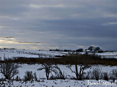 Karen S Nature Photography Snowscape With Naked Trees And Bushes