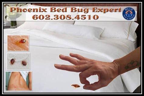 Best Bed Bug Expert Phoenix AZ Bills Pest Termite Control Bills