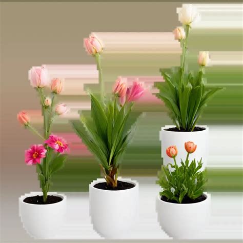 Exquisite Png Image Of Beautiful Flowers In White Pots Enhance Your