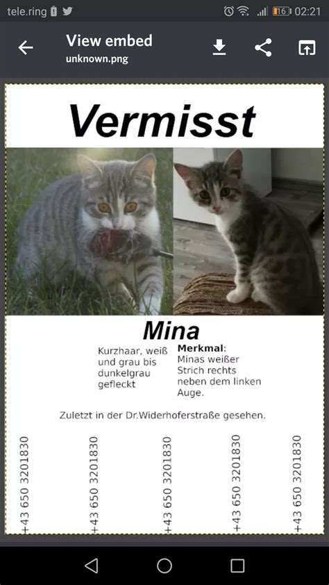 Katze Vermisst Braunau