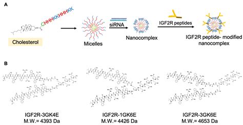 Biomolecules Free Full Text Peptide Based Sirna Nanocomplexes Targeting Hepatic Stellate Cells