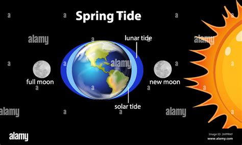 Moon tides illustration Stock Vector Images - Alamy