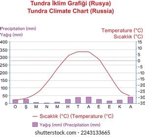 Tundra Climate Chart Russia Illustrator Stock Vector (Royalty Free) 2243133665 | Shutterstock