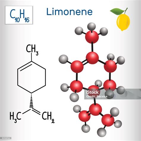 Molécule De Limonène Formule Chimique Structurale Et Modèle Vecteurs Libres De Droits Et Plus D