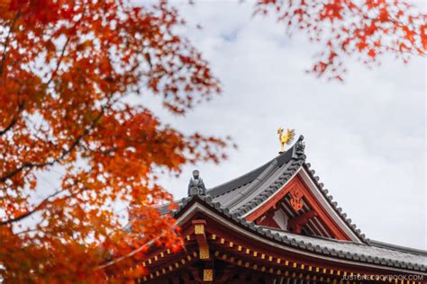 Etiquette Tips For Visiting Shrines And Temples In Japan Just One