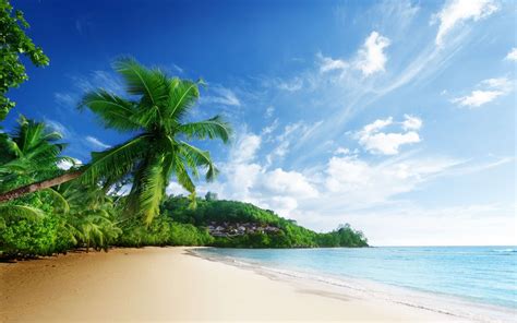 Beach Scenery wallpaper | 1920x1200 | #59908