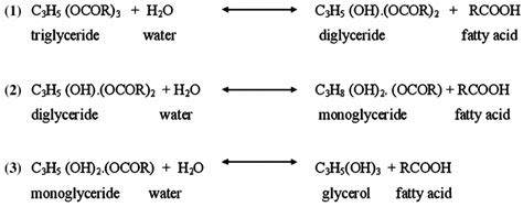 Hydrolysis Reaction Of Vegetable Oil Download Scientific Diagram