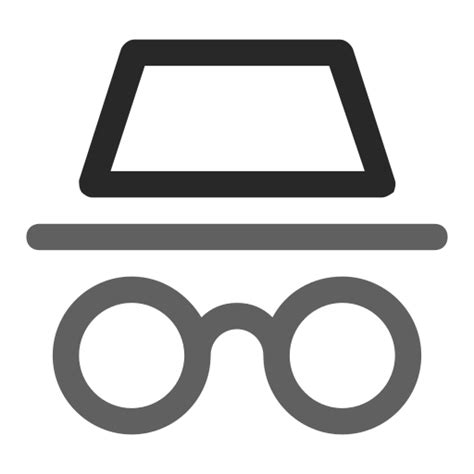 Incognito Generic Color Outline Icon