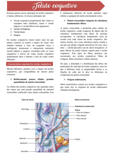 Solution Tecido Conjuntivo Resumo Studypool