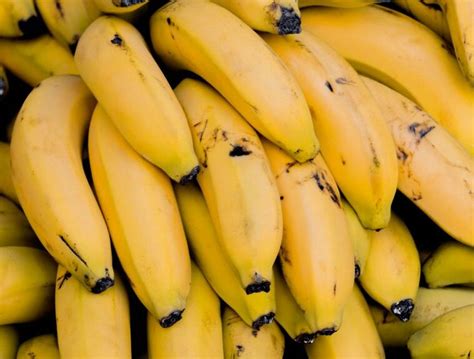 Os Benefícios da Banana para o Corpo Uma Fruta Poderosa e Nutritiva