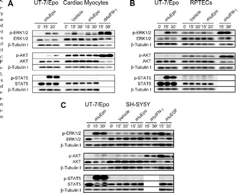 Erythropoiesis Stimulating Agents | Semantic Scholar