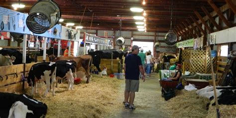 Waushara County Fair | Travel Wisconsin