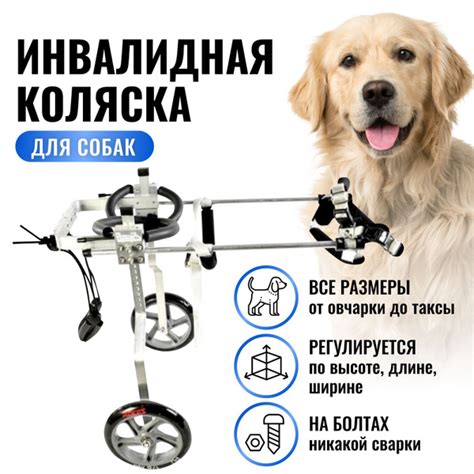 Инвалидная коляска для собак (больших). Поддержка (тележка) для задних ...