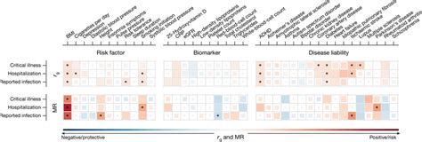 Genetic Correlations And Mendelian Randomization Causal Estimates