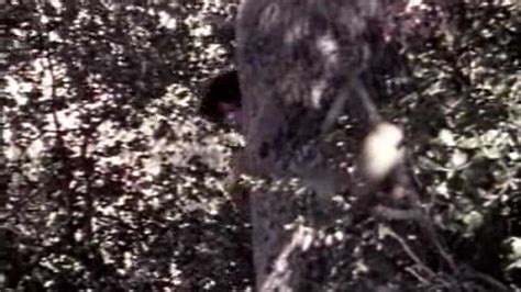 Buttersidedown SwedishErotica The Moonshiner Porn Videos