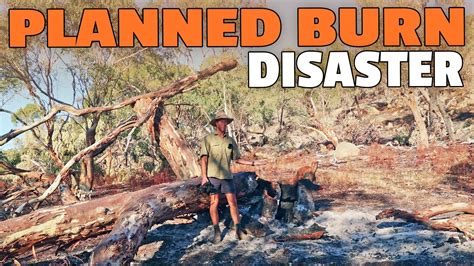 Planned Burn Destroys Part Of Green Listed Warby Ovens National Park