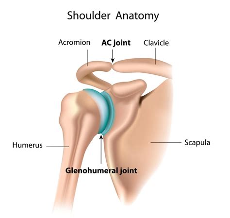 Is Shoulder Separation Surgery Recovery Time Worth It? - Regenexx