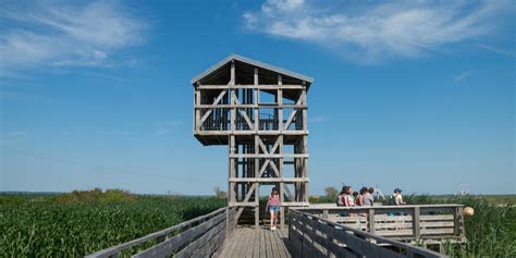 Monte Kawamata - L’Observatoire – Tadashi Kawamata | Estuaire et Sillon Tourisme