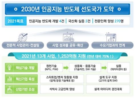 Ai반도체 시장 선점정부 2030년 세계 시장 20 점유 목표