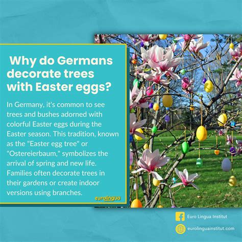 EuroLingua Institut (@eurolinguainstitut) • Instagram photos and videos