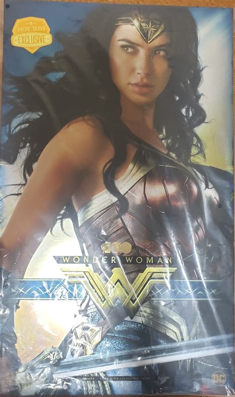 全新 現貨 Hottoys Wonder Woman WB100 限量300 神奇女俠 MMS698 Hot toys 興趣及遊戲 玩具 遊戲類 Carousell