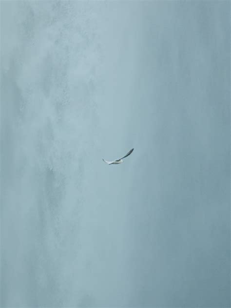 A solo road trip across Iceland on Behance