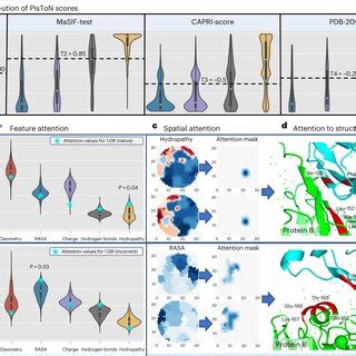Simplified scheme of the Molecular Dynamics Simulation algorithm ... 