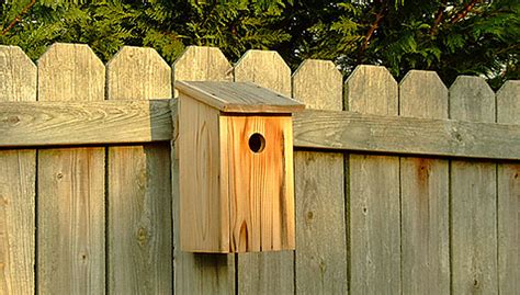 Cute Yard Crafts - Birdhouse Plans With Adorable Designs