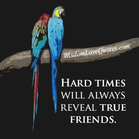 Hard times will always reveal true friends - Wisdom Love Quotes