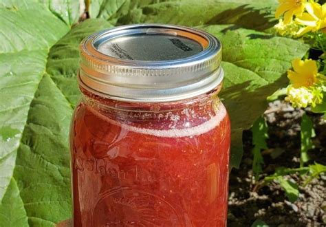 Confiture Fraise Rhubarbe