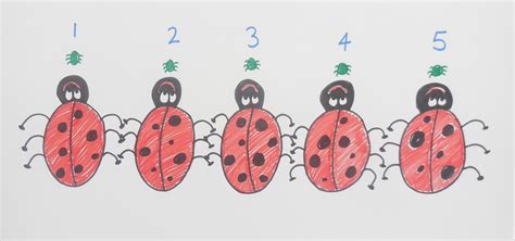 Early Years Fun: Ladybird Maths Fun!