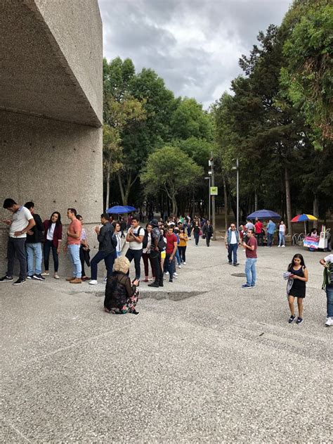 Pin by Museum Planning LLC on Sunday Carsten Höller Museo Tamayo