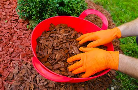 How Mulching Can Transform Your Landscape And Garden