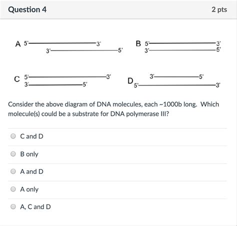 Solved Consider the above diagram of DNA molecules, each | Chegg.com 