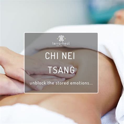 Chi Nei Tsang Abdominal Massage And Karsai Massage Book Artofit