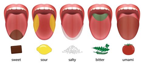 The Science of Taste - WellTuned by BCBST