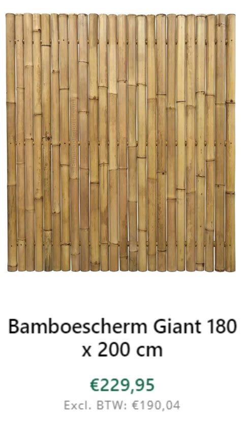 Bamboescherm Giant 180 X 200 Cm Bamboe Omheining Bamboetuin