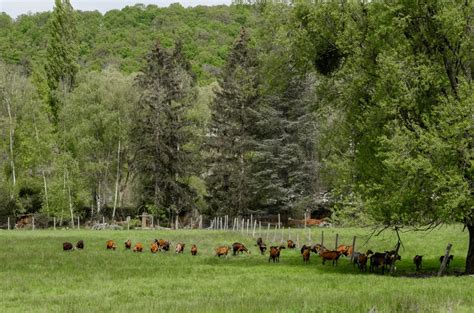 Contoh IoT dalam Bidang Pertanian: Meningkatkan Produktivitas dan ... 